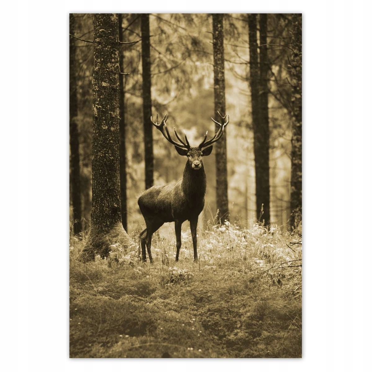 Plakáty 135x200 Jelen v lese Sepia