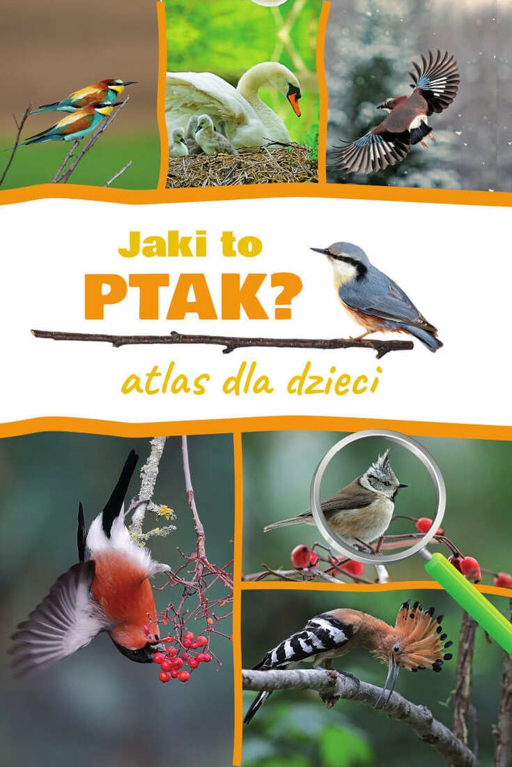 

Jaki To Ptak Atlas Dla Dzieci Marchowski Dominik
