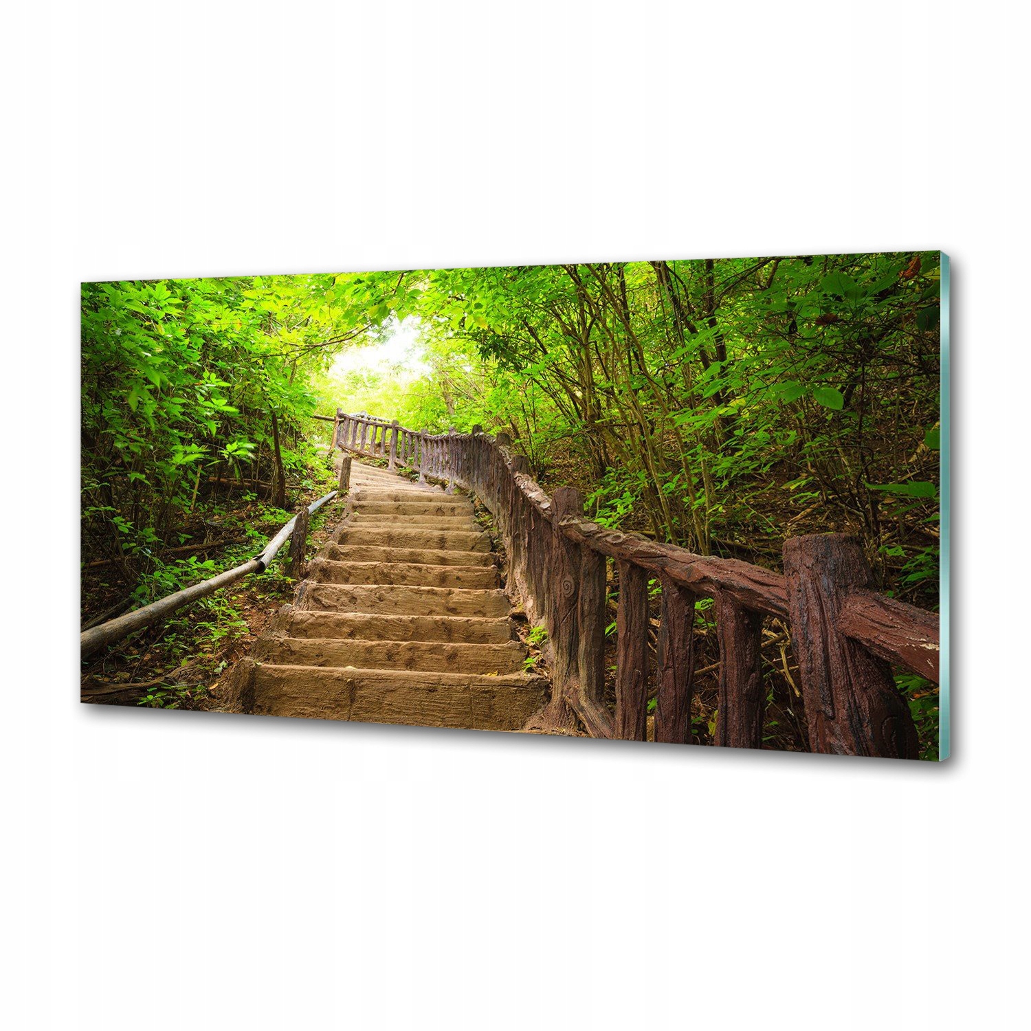 Panel do kuchyne Schody v lese 100 x 50 cm Lepidlo