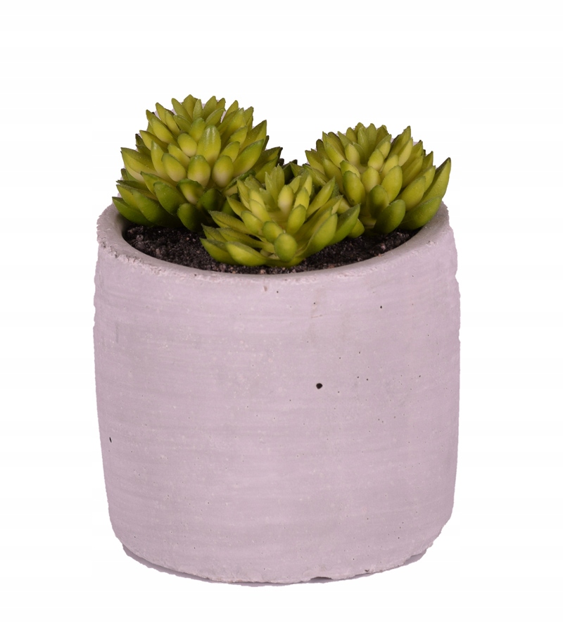 

Sukulenty w doniczce sztuczne do dekoracji