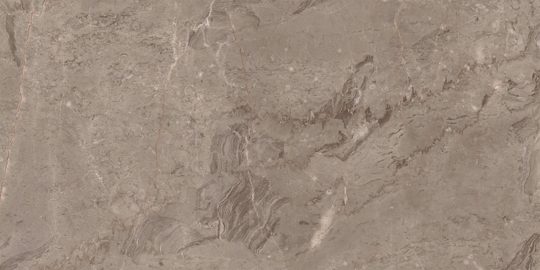 Mexen Arbour Taupe Gres Glazovaný Dlaždice Podlahové/obkladové 120X60 Lesk