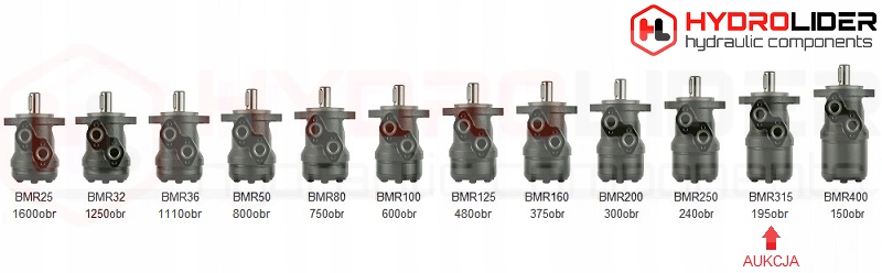 SILNIK HYDRAULICZNY BMR 315 O2W32 P90T HYDROLIDER Producent części Hydrolider