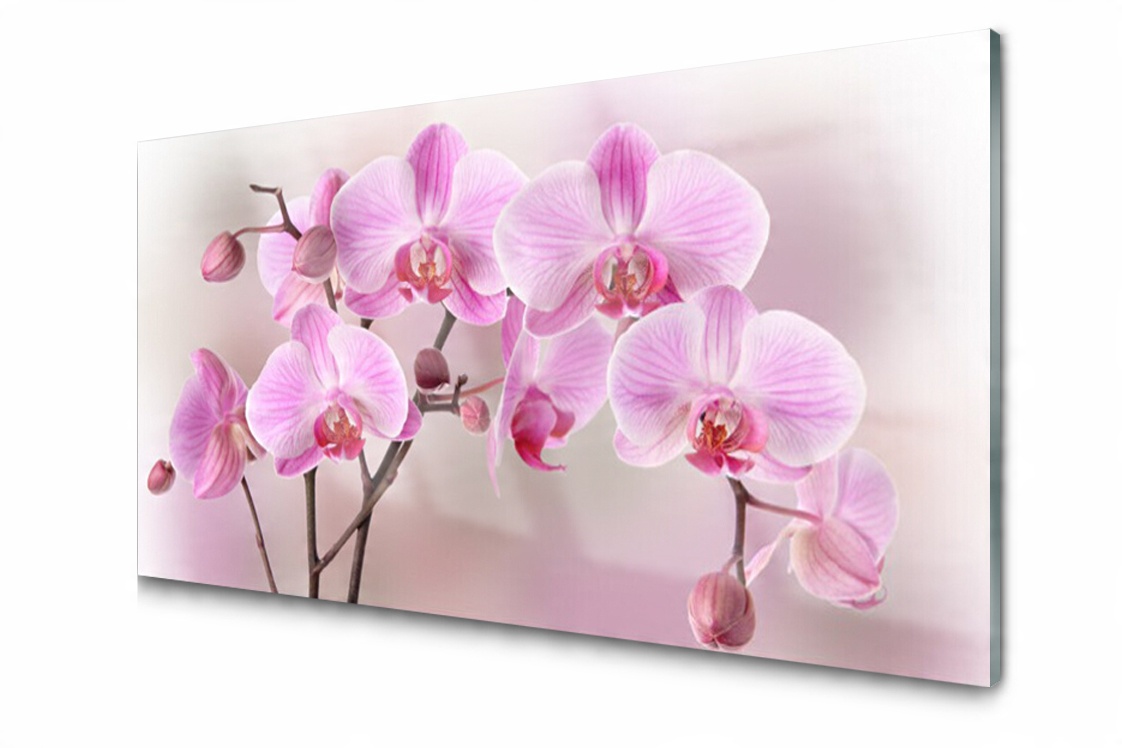 

Panel szklany dekor Kwiaty Roślina 120x60 + Klej