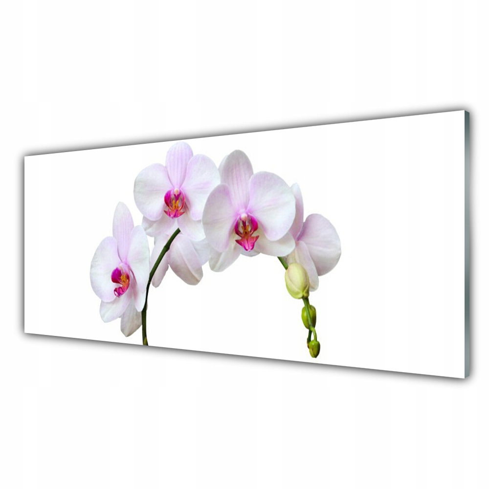 

Obraz na prezent 125x50 Storczyk Orchidea Kwiaty