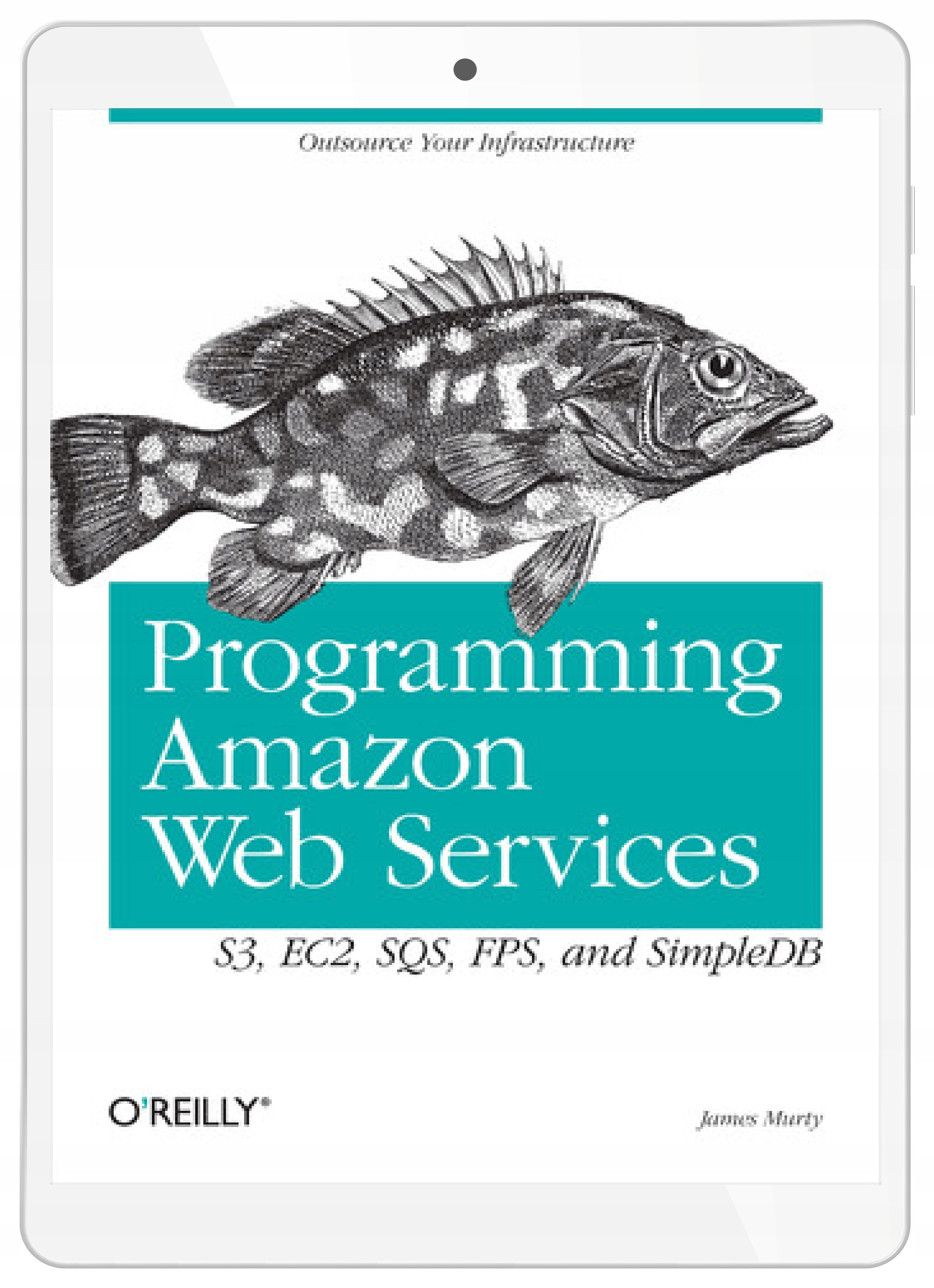 Programming Amazon Web Services. S3, EC2, SQS, FPS, and SimpleDB