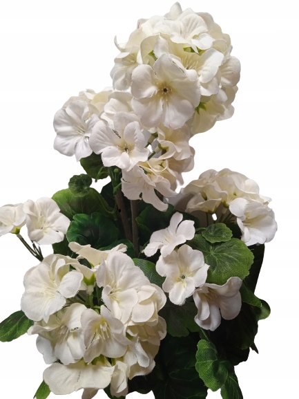 

Pelargonia biała krem bukiet sztuczne kwiaty 48cm