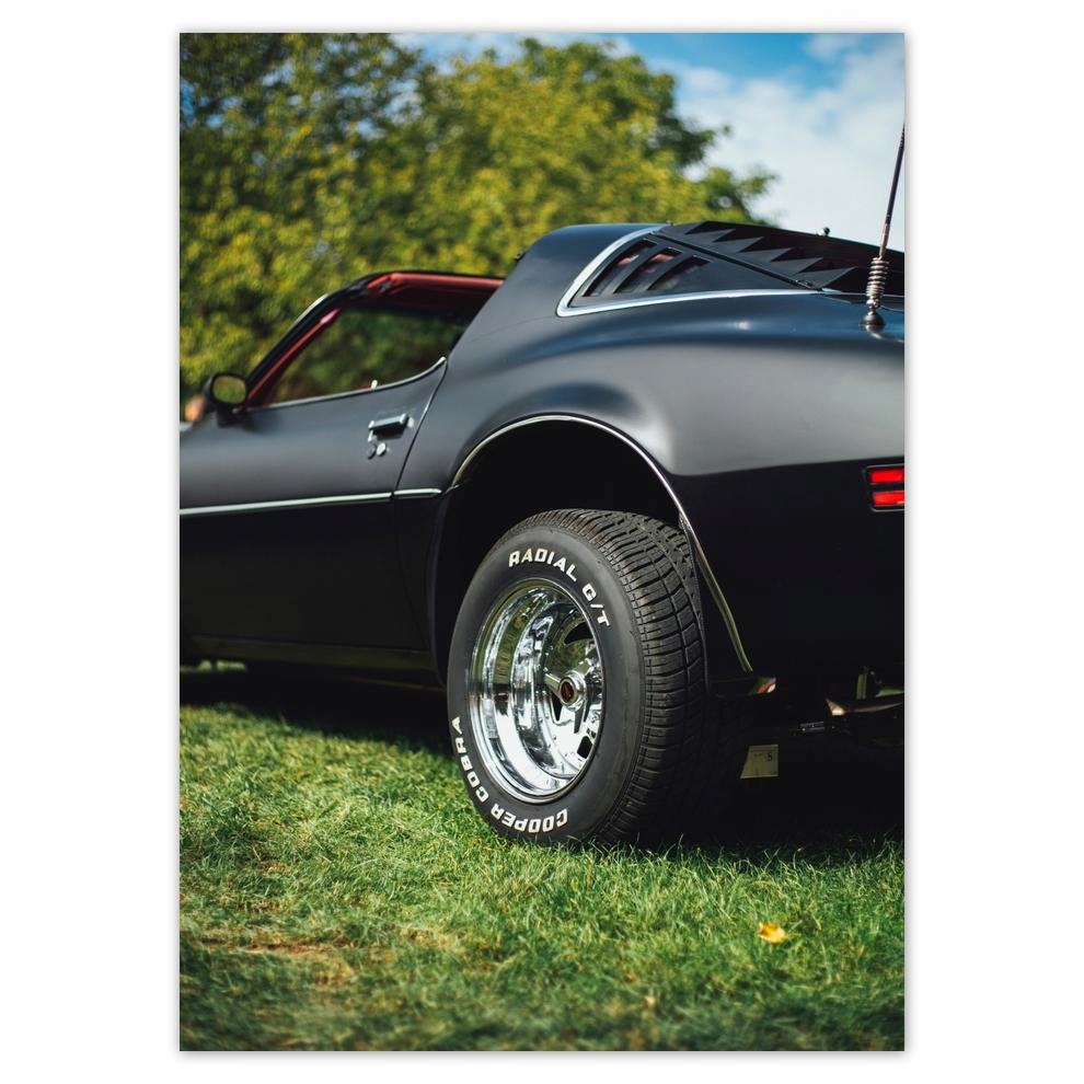 

Naklejki 50x70 Motoryzacja Samochód Auta