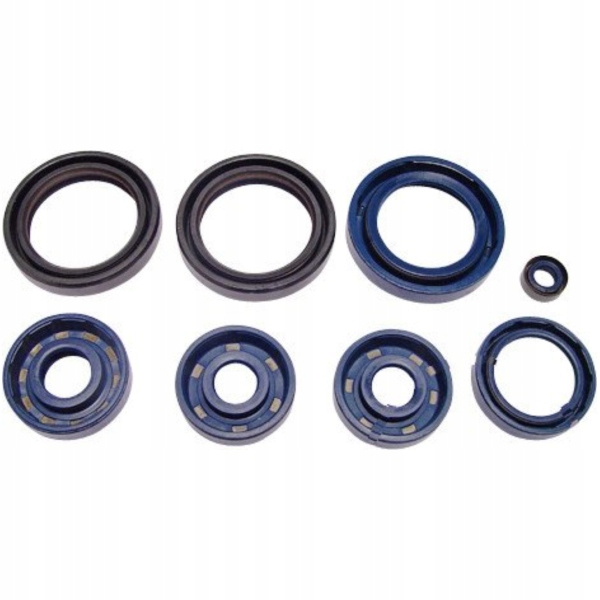 sada těsnění pro Aprilia Europa 125