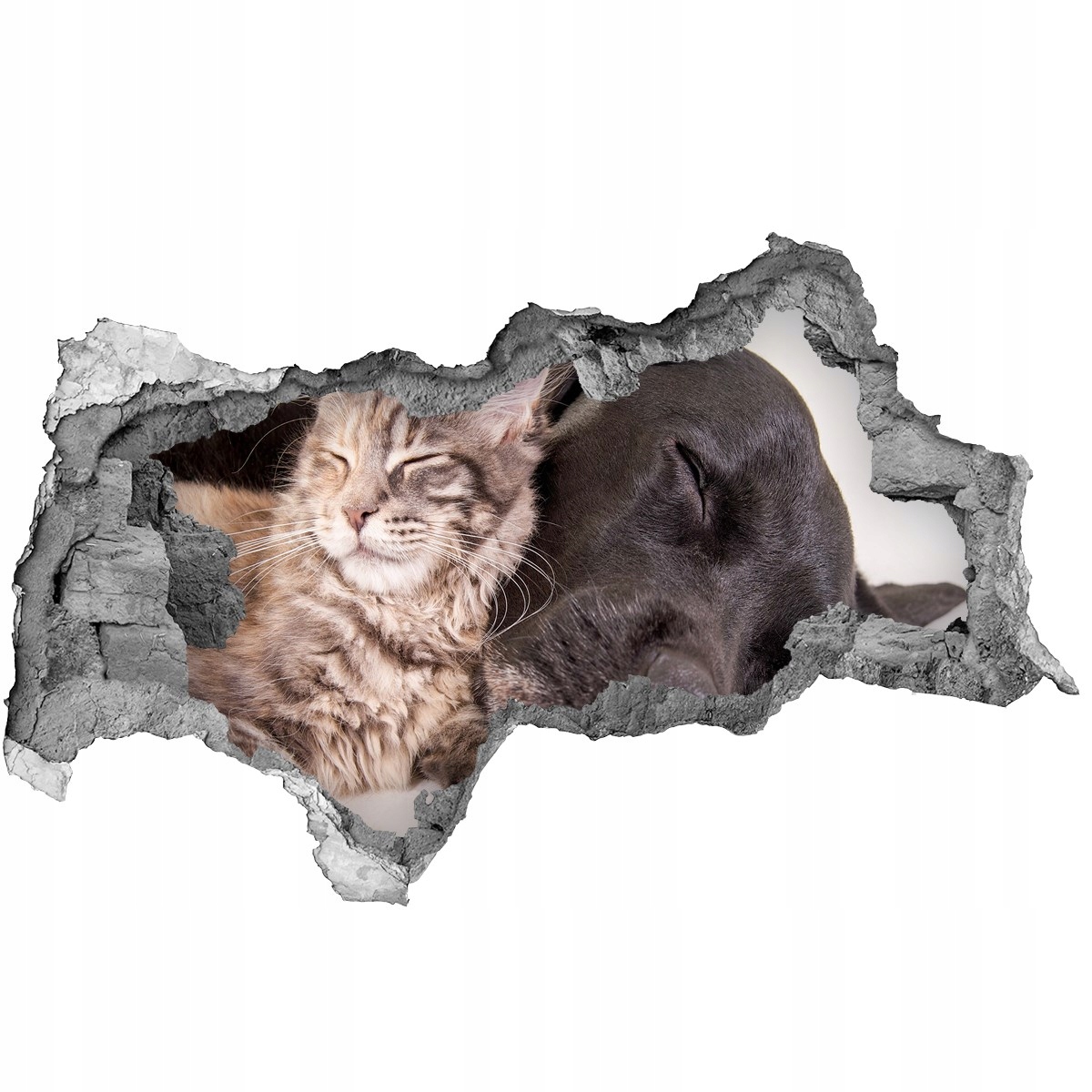 

Dziura 3d foto tapeta Naklejka Pies z kotem 115x88