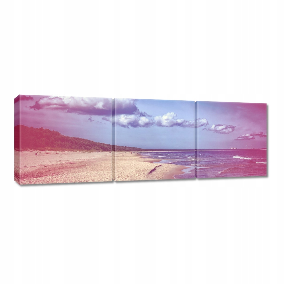 

Obrazy 60x20 Plaża nad Bałtykiem