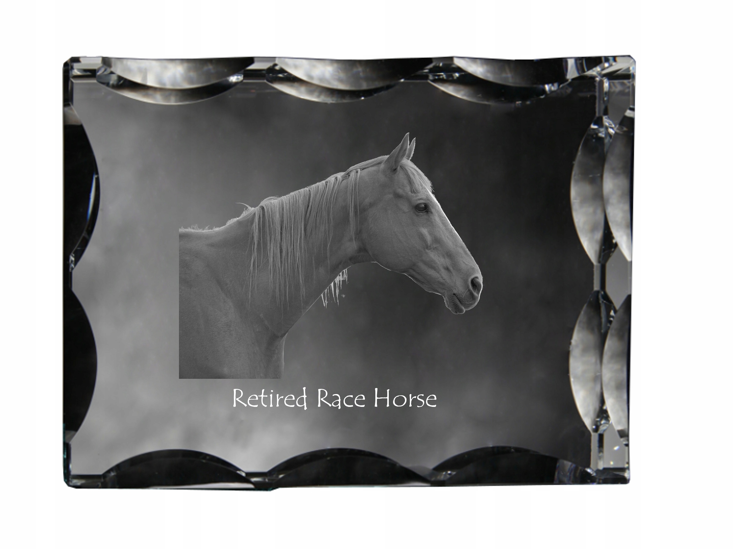Kôň Retired Race Horse fotografia v ozdobnom kryštáli, suvenír, dekorácia