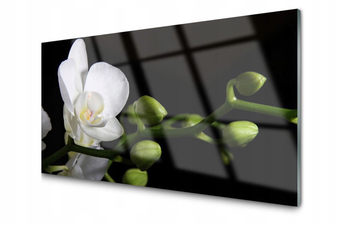 

Panel szklany dekor Kwiat Roślina 140x70 + Klej