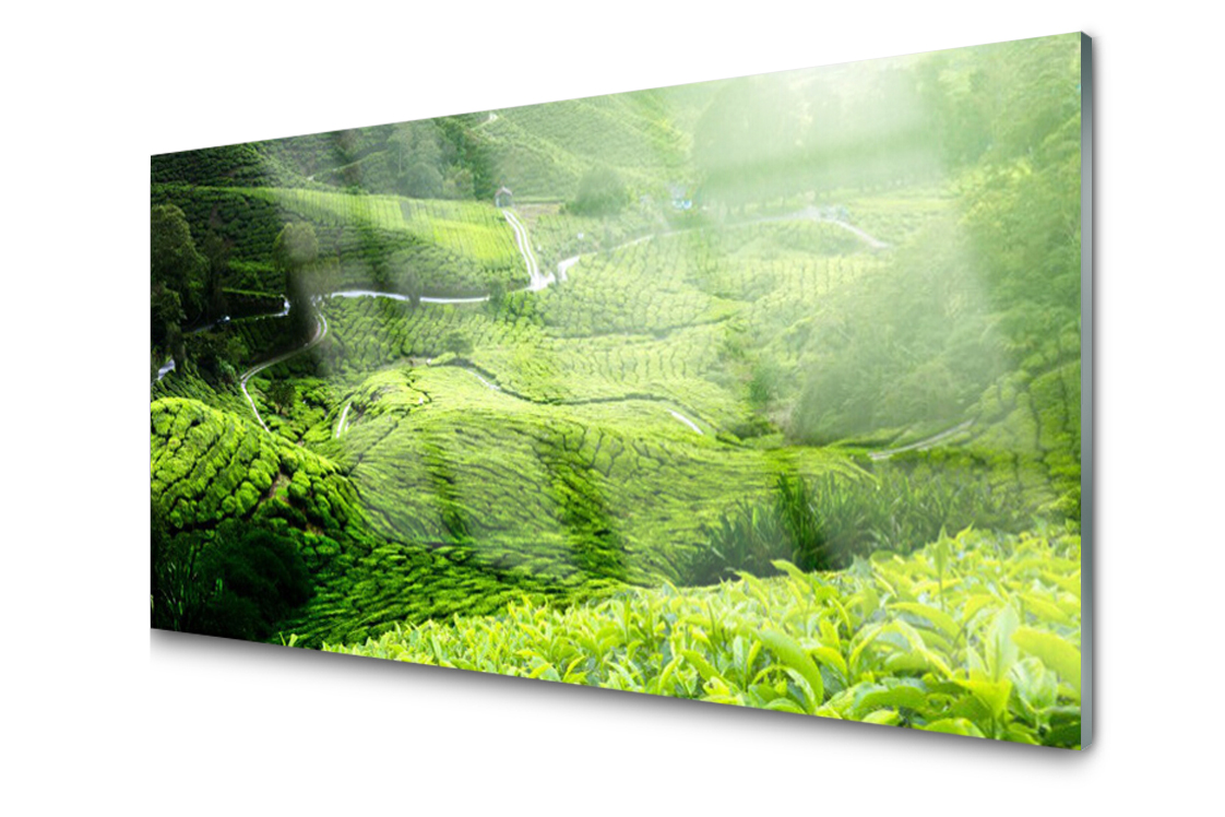 

Panel szklany dekoracyjny Łąka Widok 100x50