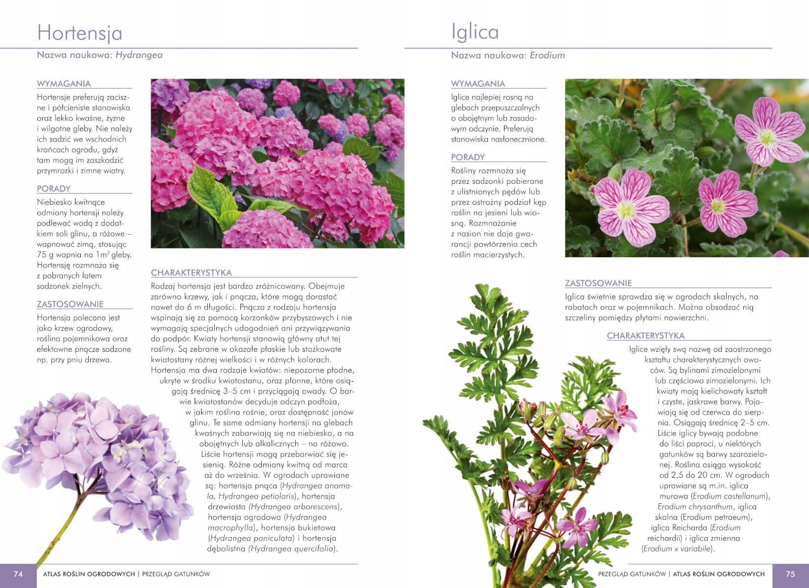 Mity nordyckie Mateusz K. Sawczyn Autor Mateusz K. Sawczyn