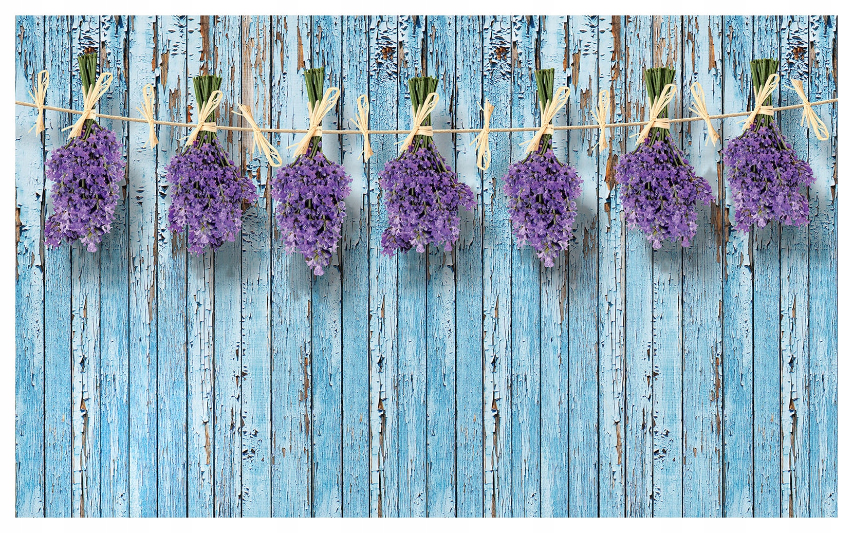 Fototapeta Glicínia modrá Jemnosť Pokoj Kvety 312x219 lepidlo