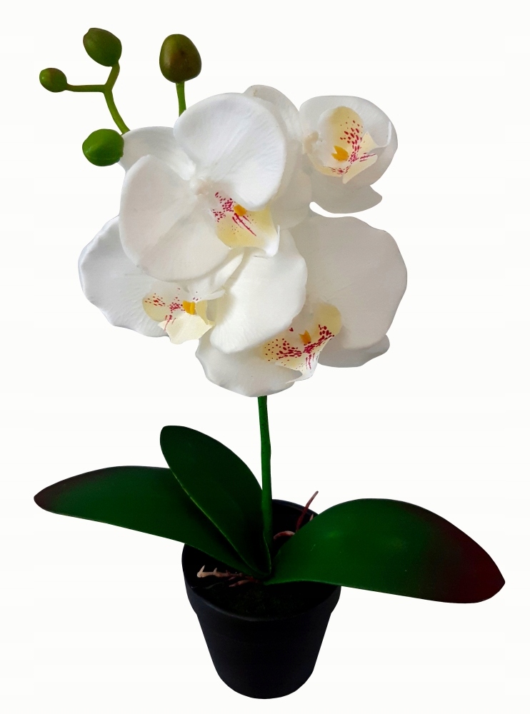 

Storczyk Sztuczny storczyki kwiat Orchidea 38cm 2