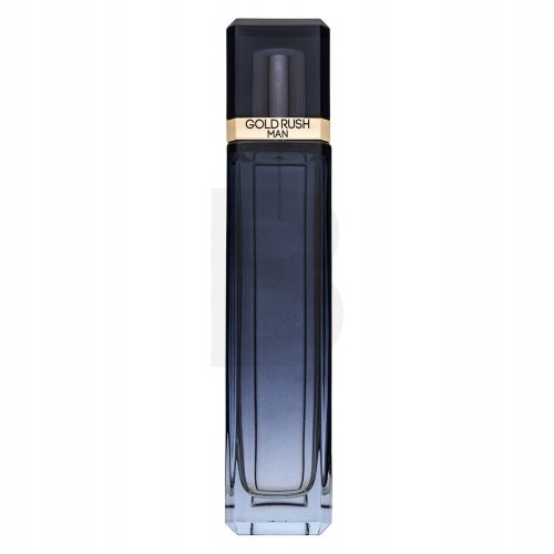 Paris Hilton Gold Rush Man toaletní voda pro muže 100 ml