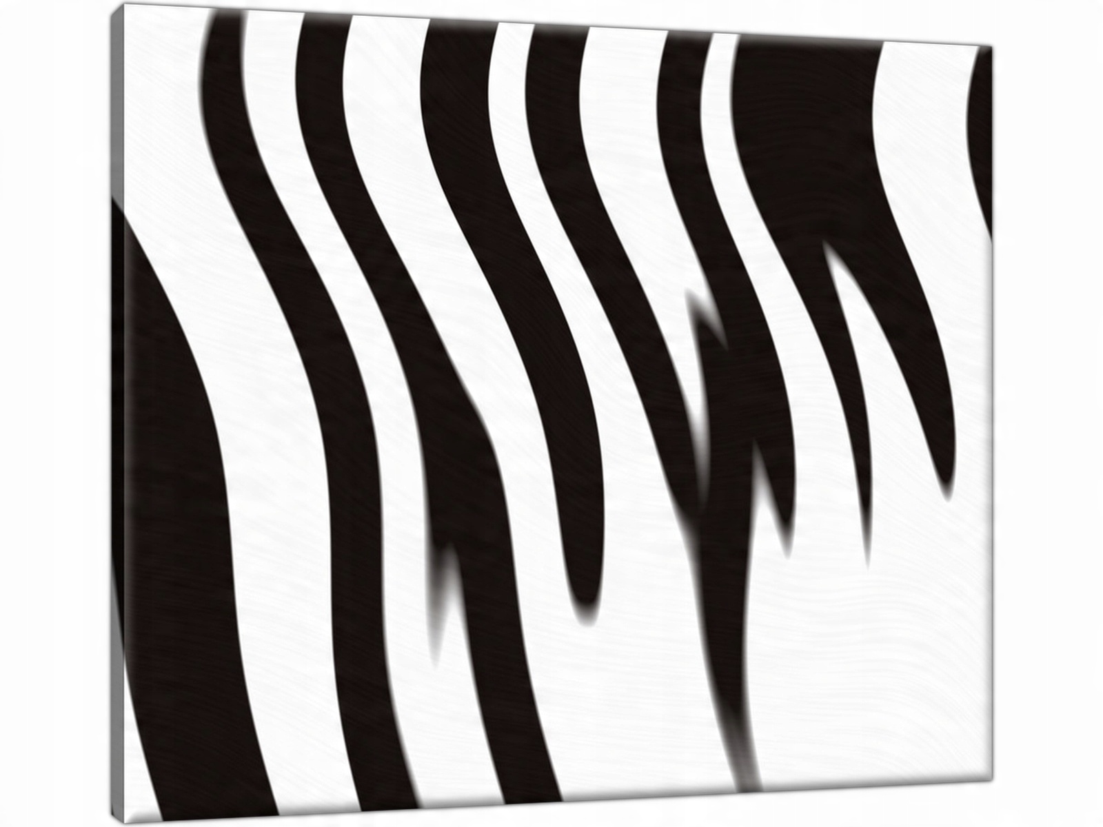 

Zebra Biało Czarny 60x50 cm Nowoczesny Obraz