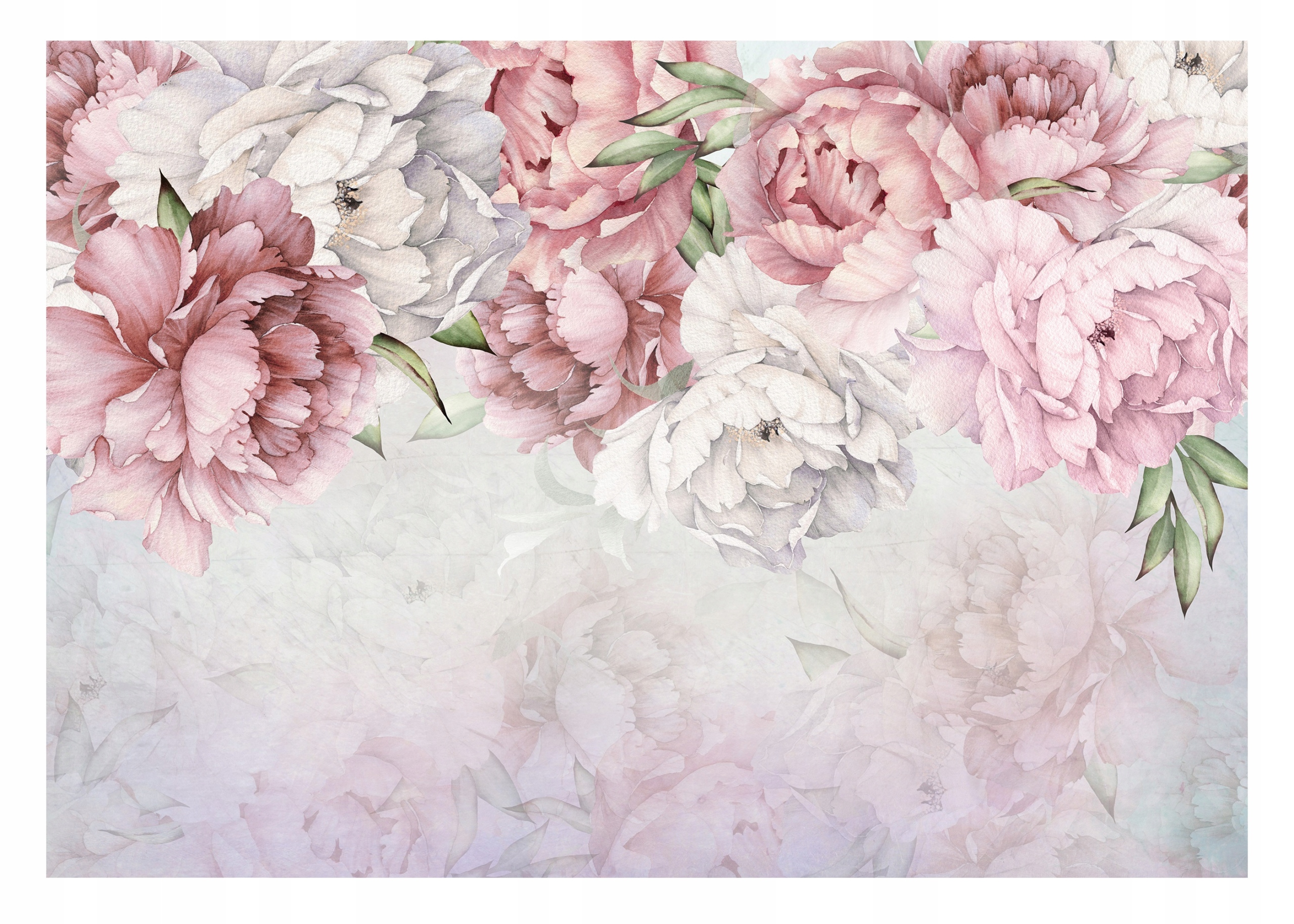 Fototapeta Závesné Kvety XXL Veľké pivonky 312x219