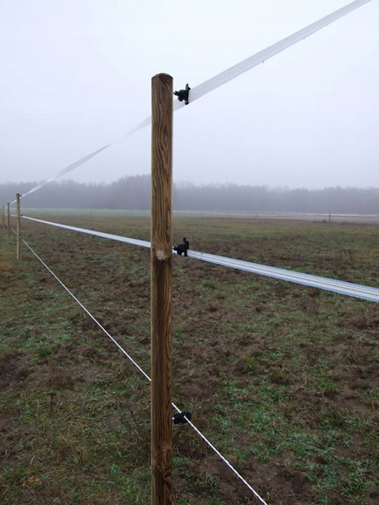 IZOLATOR DO PASTUCHA TAŚMY UNIWERSALNY WKRĘCANY DO DREWNA IZOLATORY 100 SZT Rodzaj wkręcany