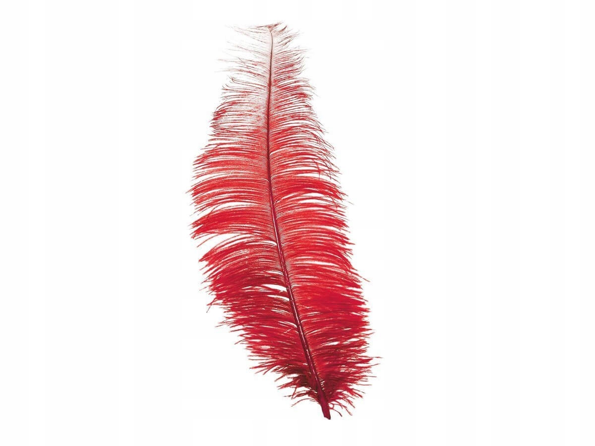

Duże czerwone pióro w stylu charlestone 30cm 1szt