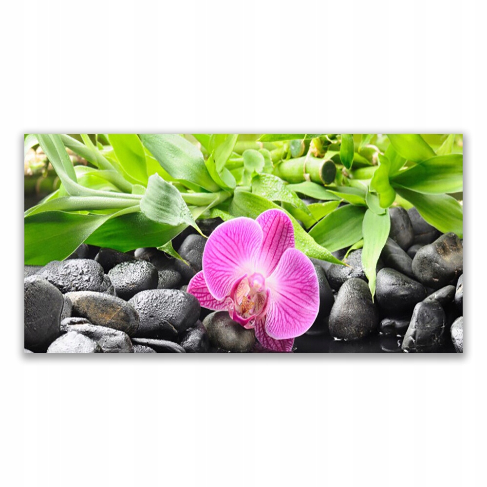 

Fotoobraz na ścianę 120x60 Kwiaty Orchidea Roślina