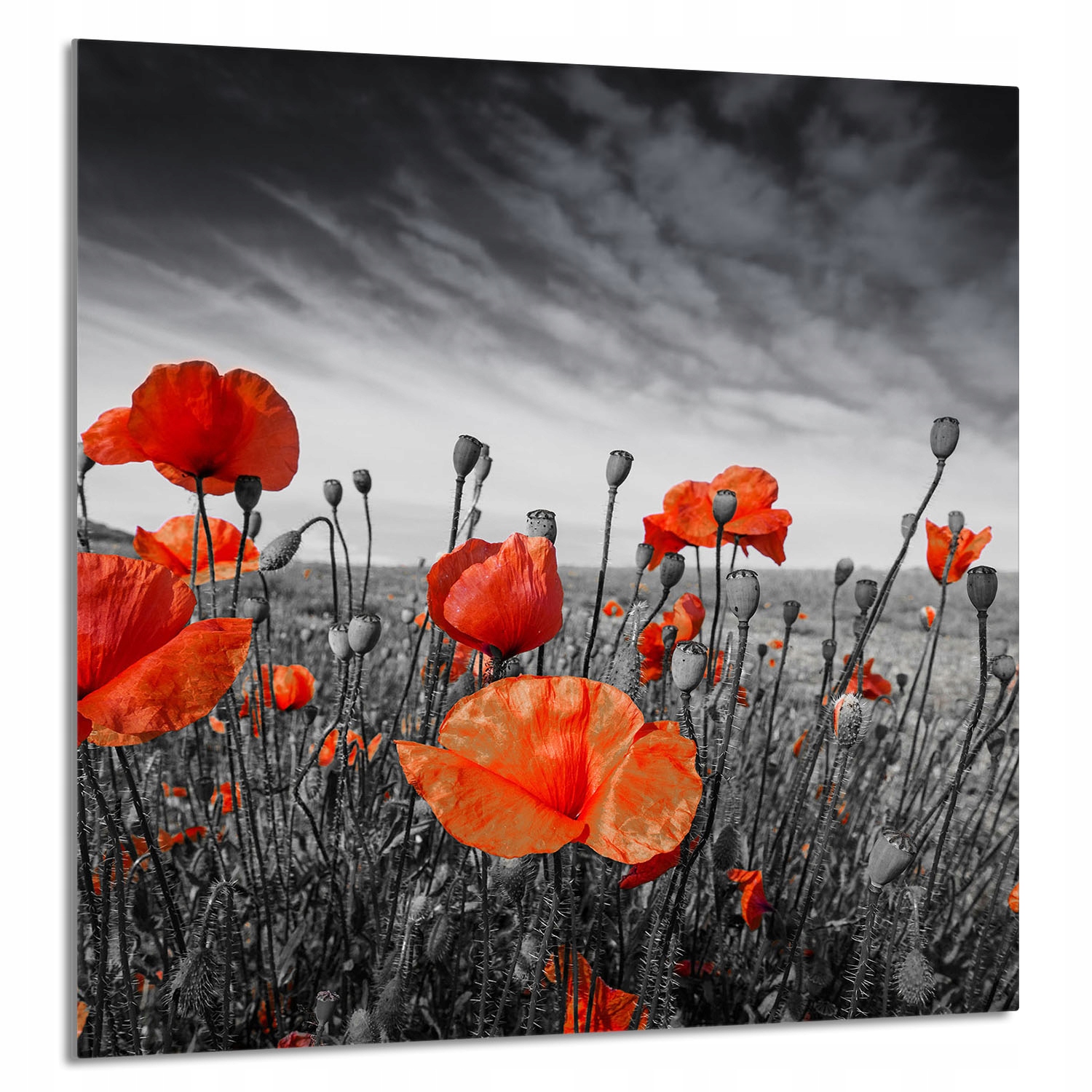 Skleněný Panel Do Kuchyně 60x65 Maki Tvrzené Sklo