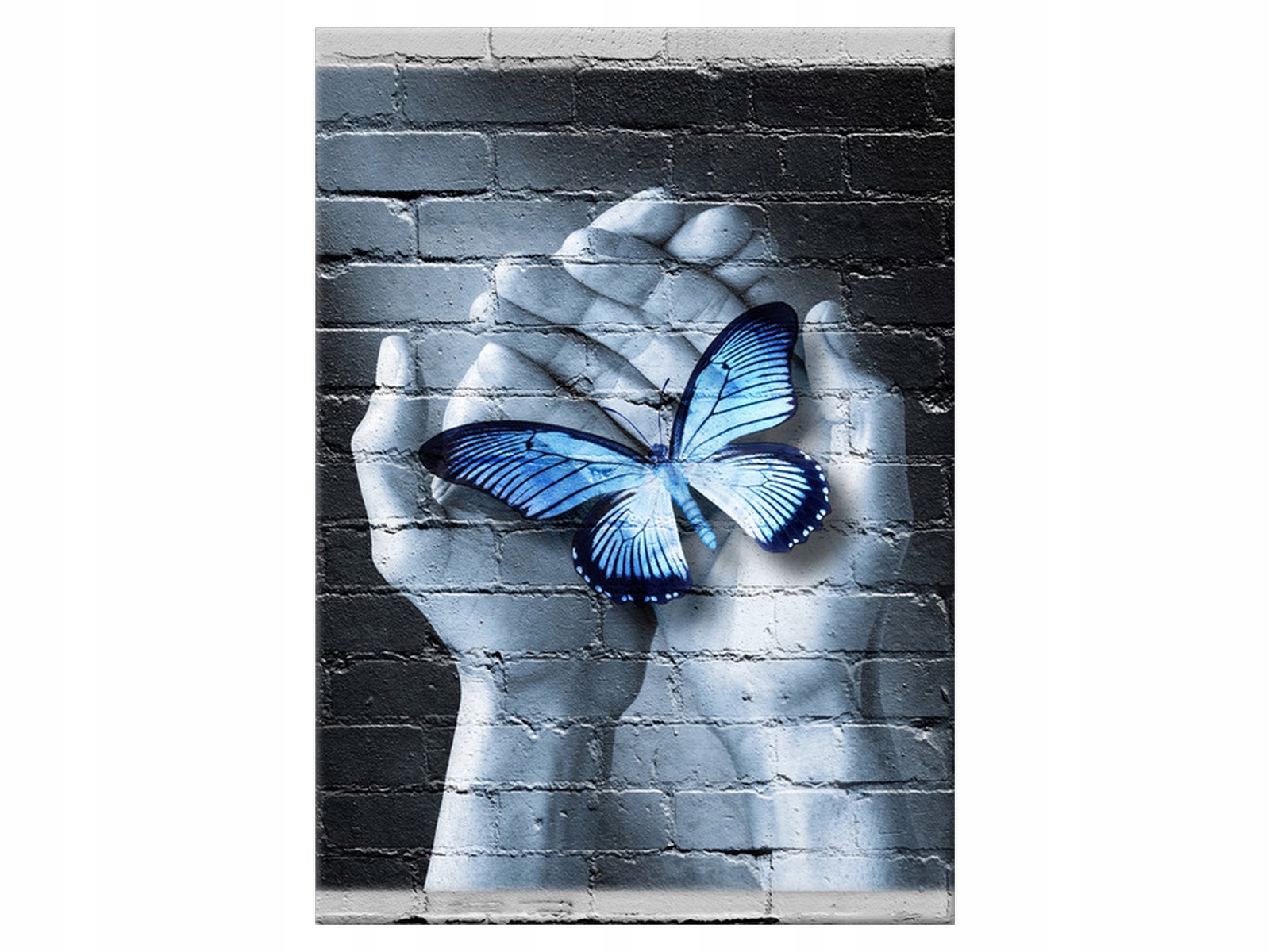 

Obraz Motyl na dłoniach 50x70 Abstrakcje Motyl