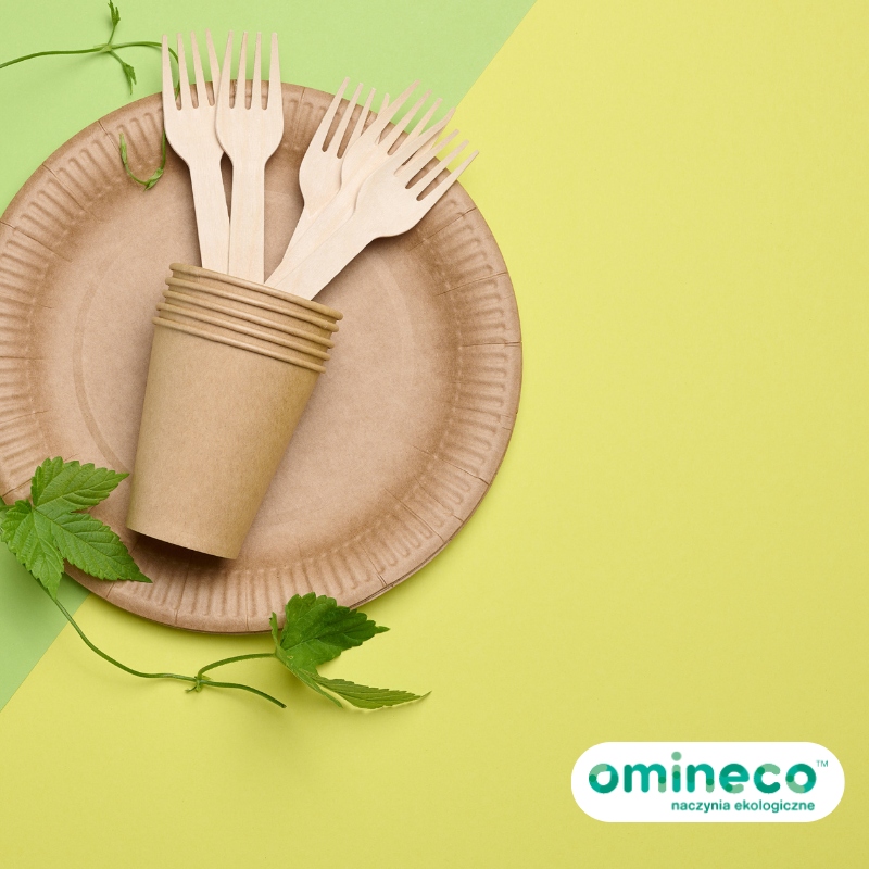 Ekologiczne talerze papierowe kraft 18 cm 50 szt. Materiał papier