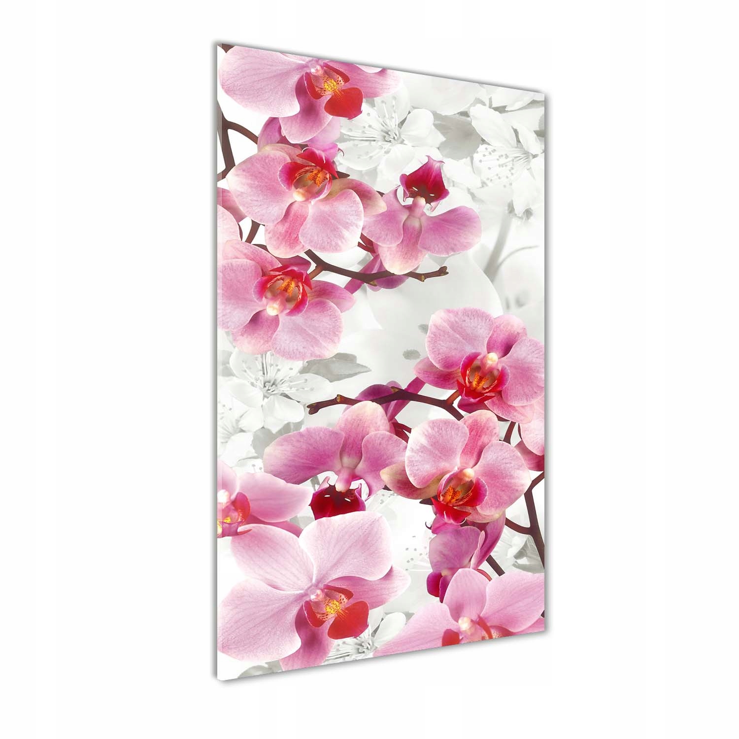 

Foto obraz na szkle pionowy Różowa orchidea 50x100