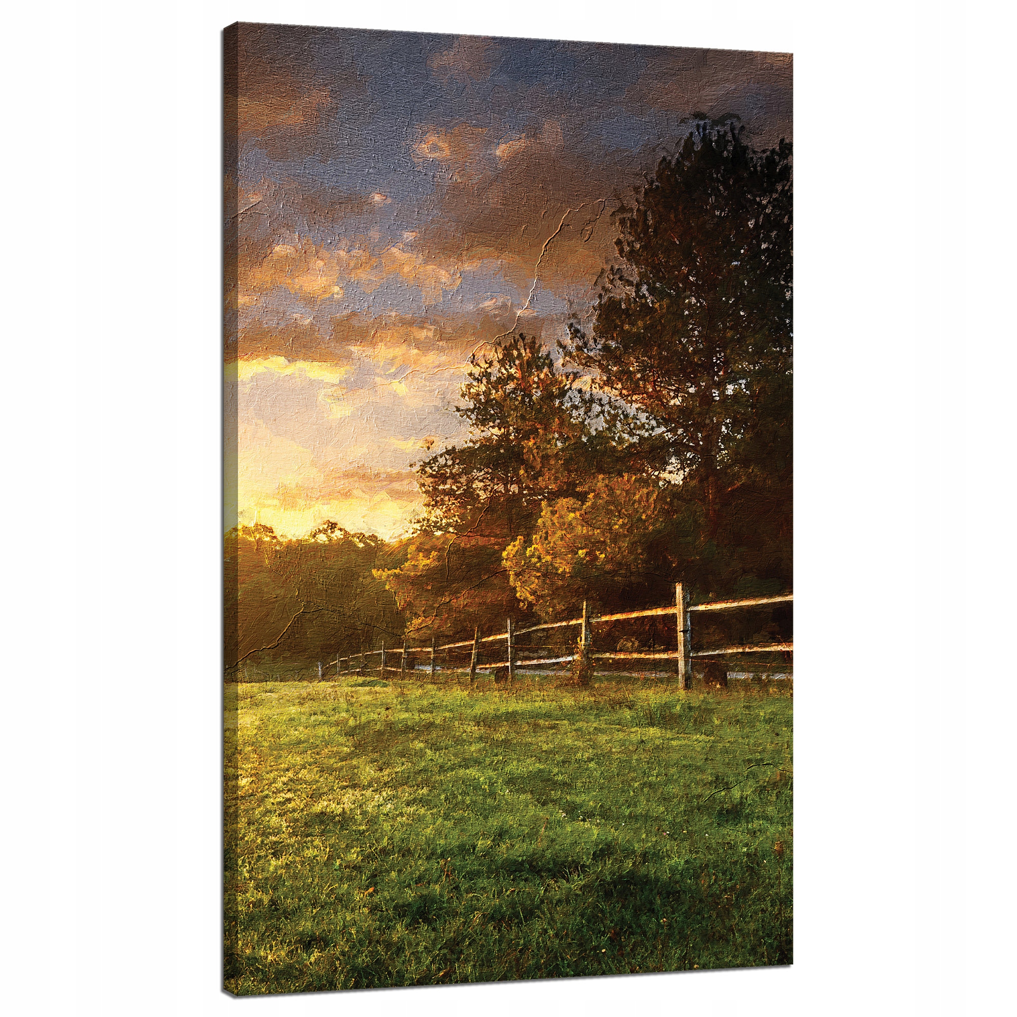 Obraz na plátně Slunce Krajina Venkovské stromy Louka 70x120 cm