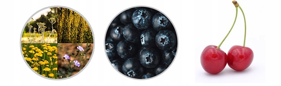 SZAMPON KEMON COLORE BRILLANTE 1000ml CHRONI KOLOR Marka Kemon