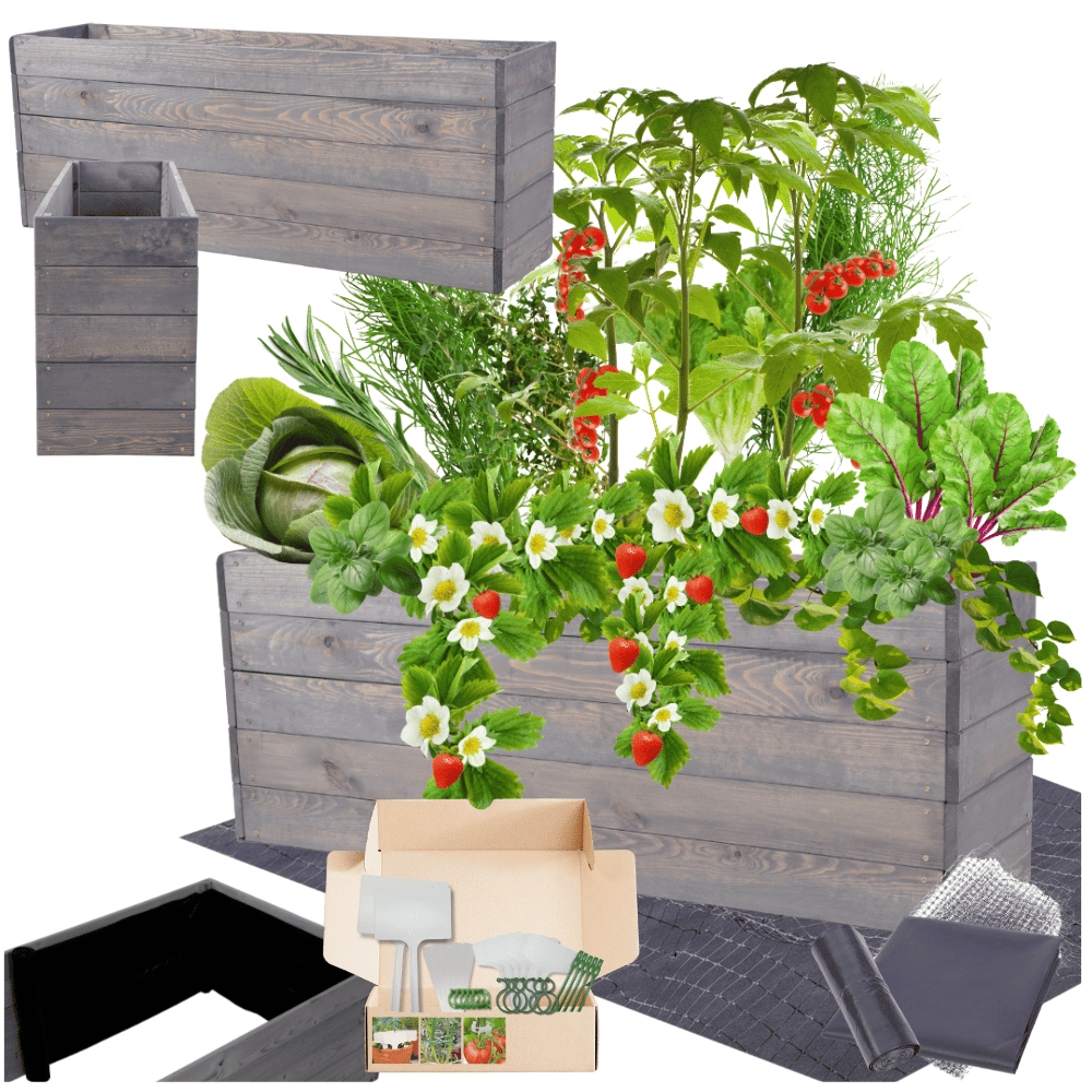 Vyvýšený záhon zeleninový záhon boxy inspekt kvetináč impregnát 45x120x30