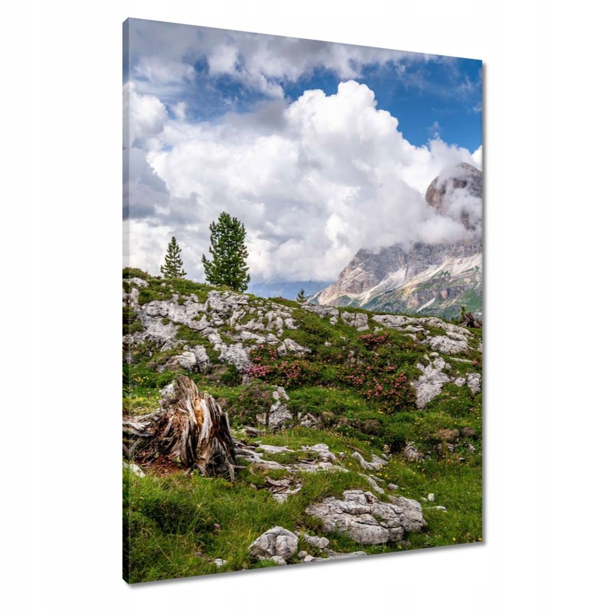 Obrazy 60x80 Horský pohled Krajina