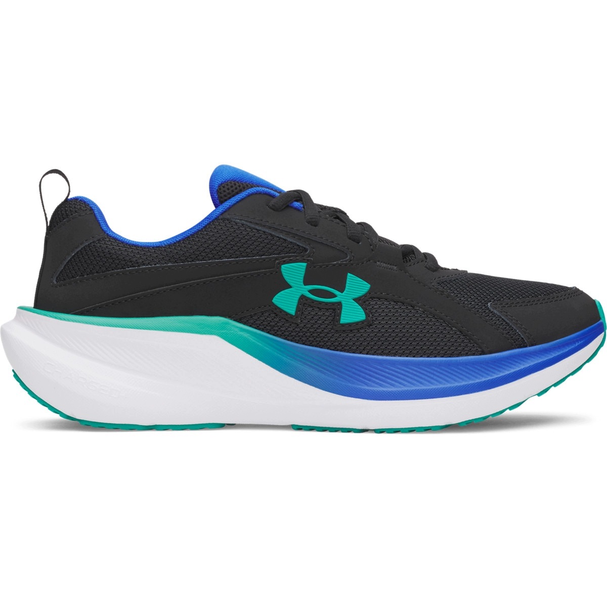 Męskie buty do biegania Under Armour Ua Assert 11 Czarny 42,5