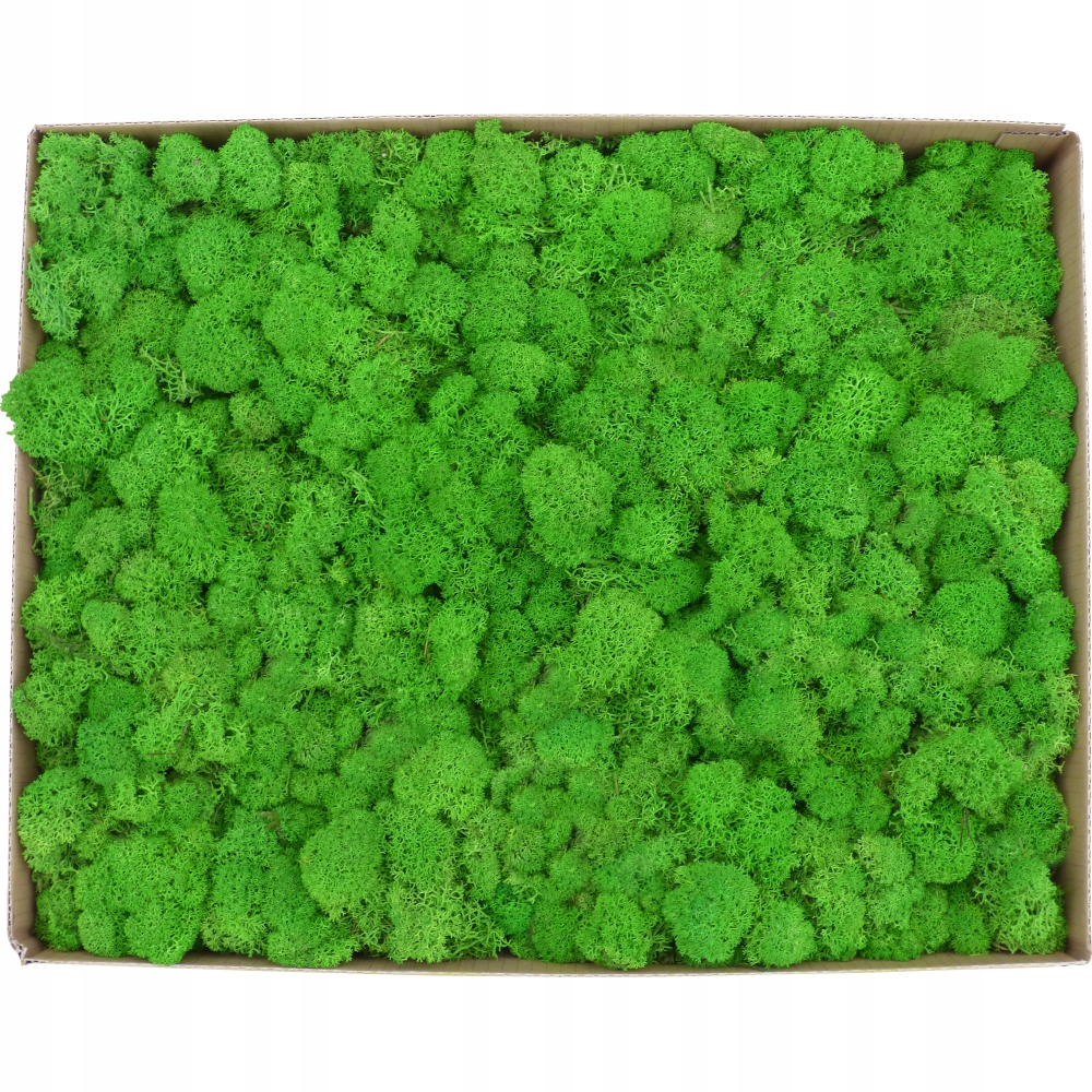 

Mech Chrobotek Premium Jasny Zielony Karton 1kg