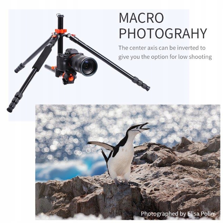 TRIPOD/STATYW Monopod K&F ALU/MAG 185CM NOWOŚĆ Minimalna wysokość produktu 45 cm