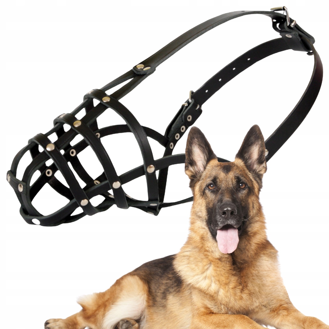 Náhubek pro psa Dingo Kožený Nýtovaný Č. 5 (obvod 27 cm) Ovčák Něm.