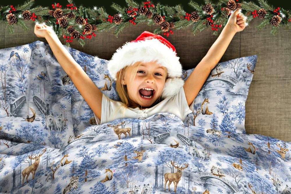 Poszewka ZIMOWA 70x80cm na poduszkę 100% bawełna, Winter Forest Blue Wzór dominujący Zwierzęta Inny wzór