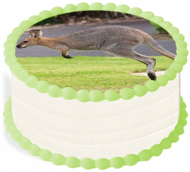 oplatek na dort 20 cm Zvířata Zoo Kangur Party