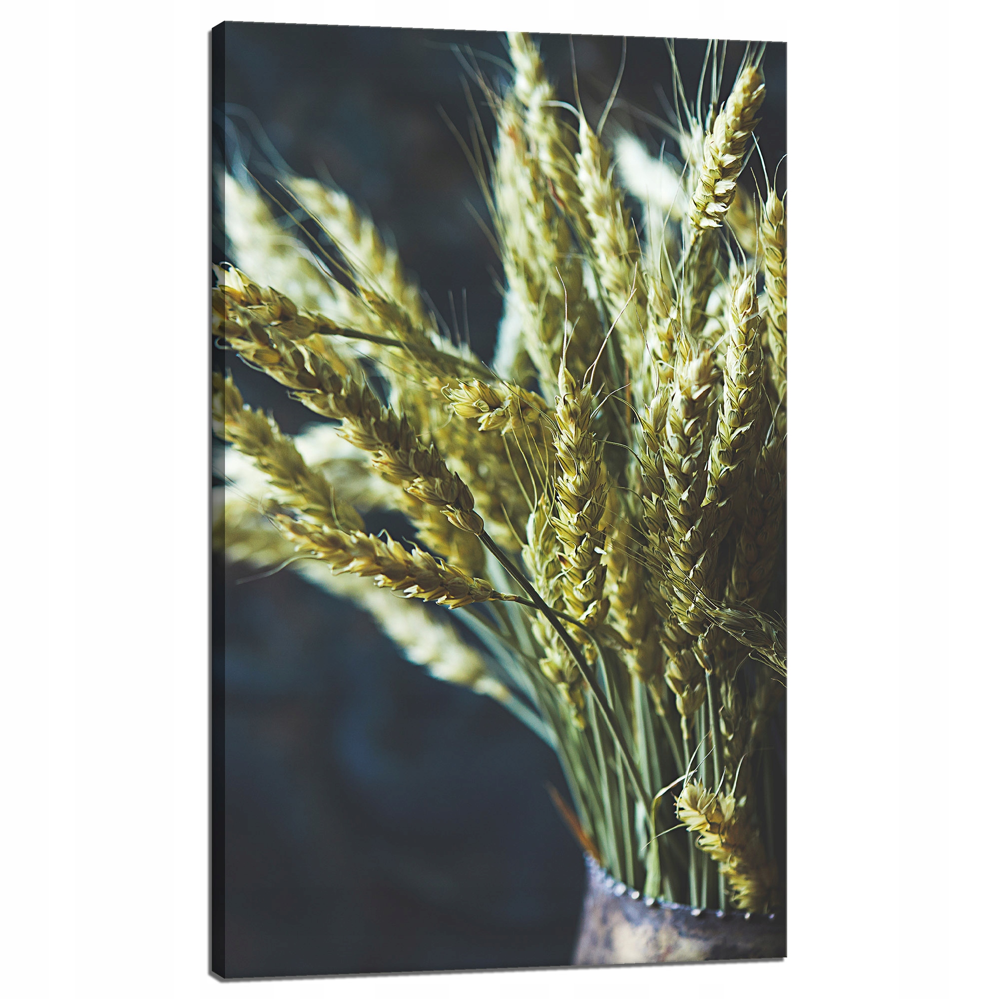 Obraz na plátně Botanika Váza pšenice 60x100 cm