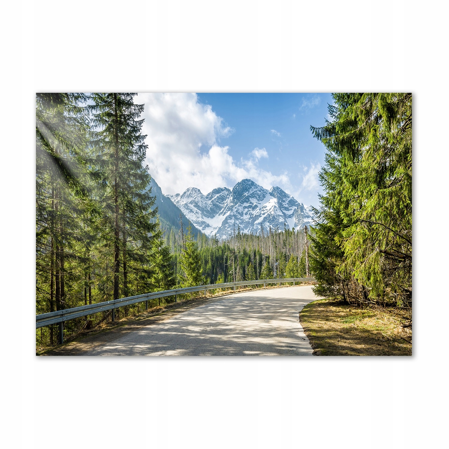 Foto obraz akrylové sklo Cesta Tatry 100x70 cm
