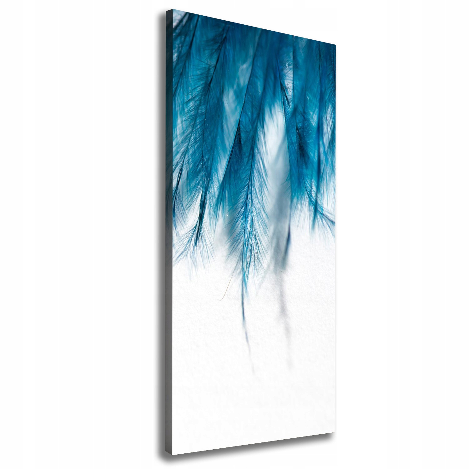 

Foto obraz na płótnie Niebieskie pióra 50x125 cm