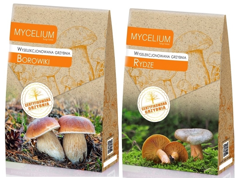 Podhoubí Borowiki Rydze sada 2 kusů