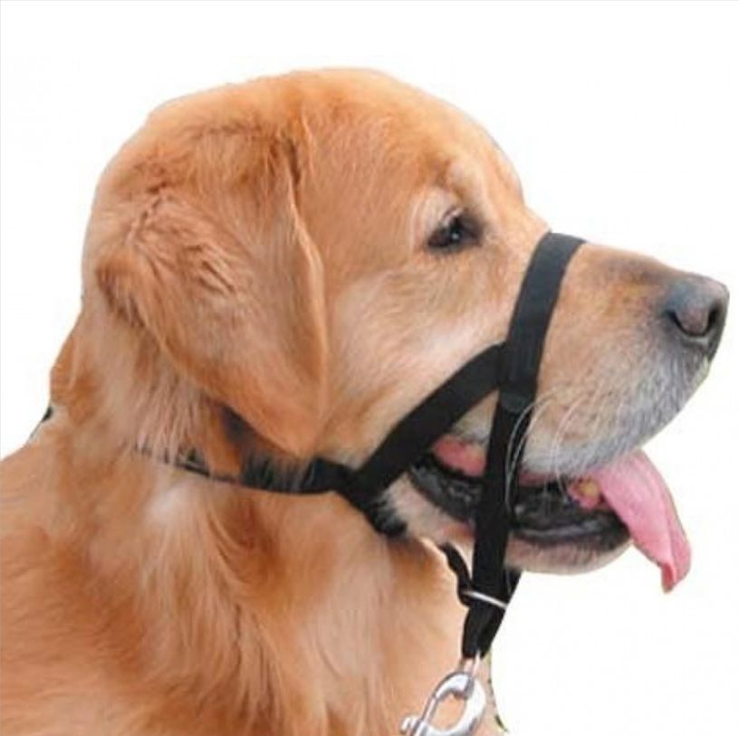 

Halter Kantar Obroża uzdowa N3 26-30cm dla psów
