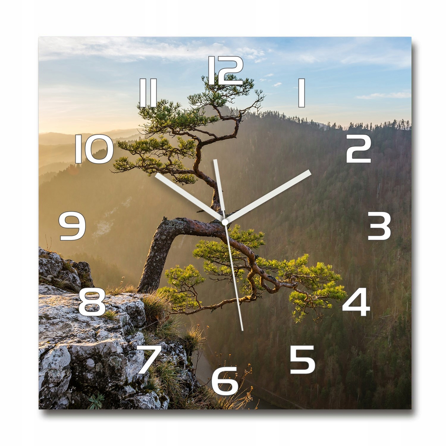 

Duży szklany zegar ścienny Sokolica Pieniny 60x60