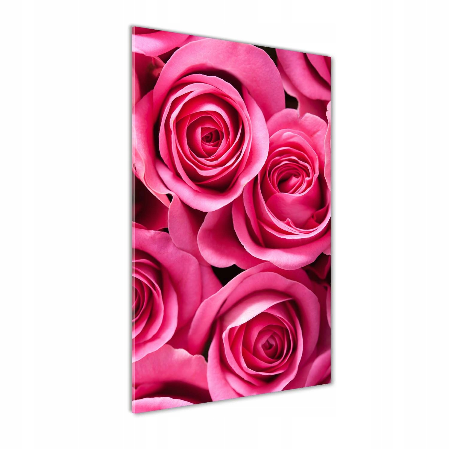 

Nowoczesny fotoobraz akrylowy Różowe róże 50x100cm