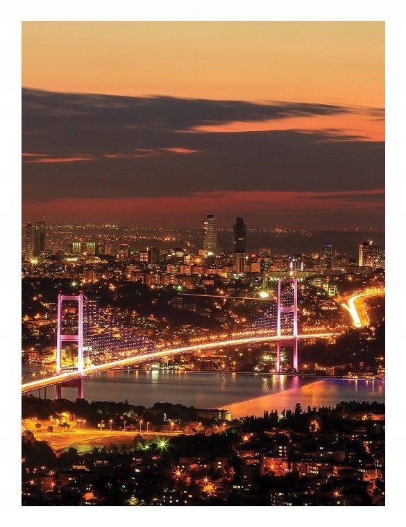 Fototapeta Istanbul v noci Bospor Světla města Turecko 206x275 lepidlo