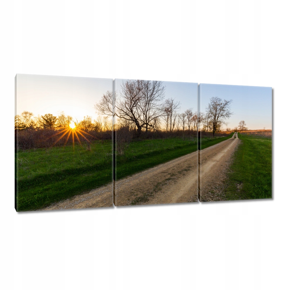 

Obrazy 120x60 Polna droga Drzewa Pola
