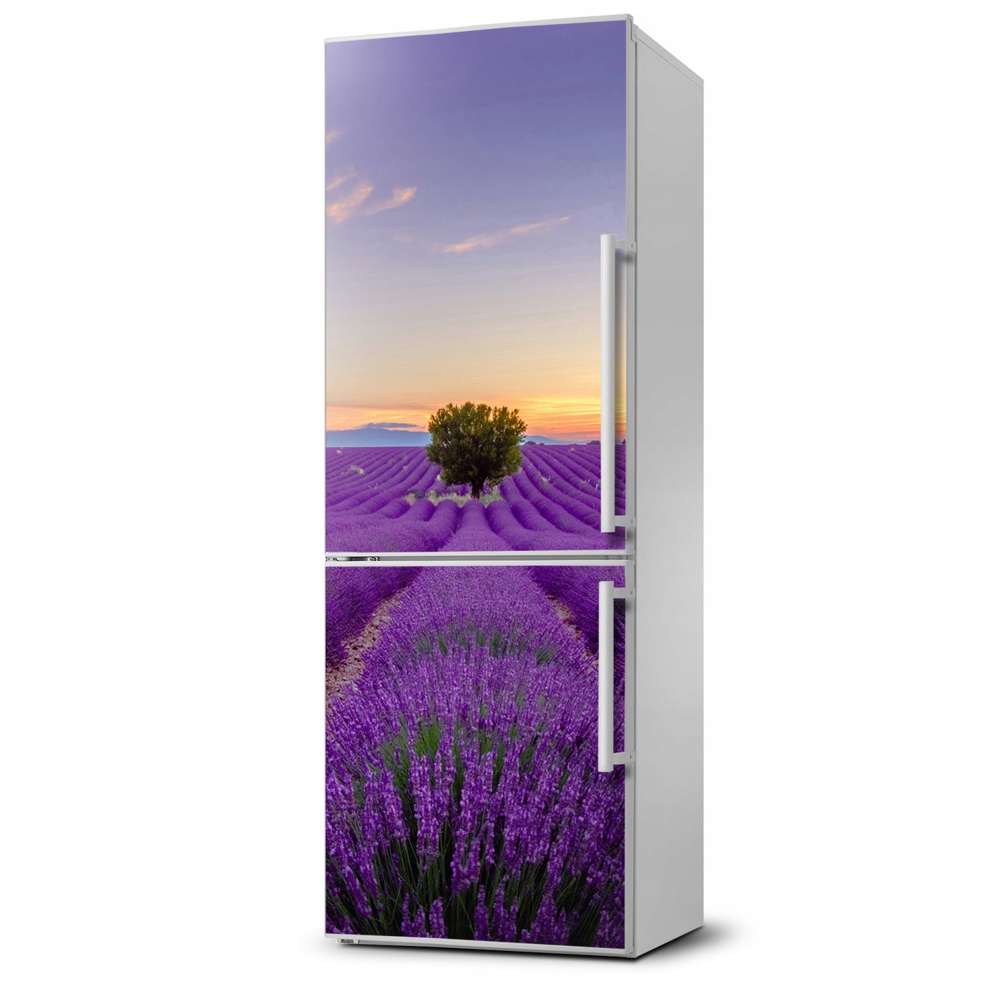 

Magnes na lodówkę magnetyczna Pole lawendy 60x180